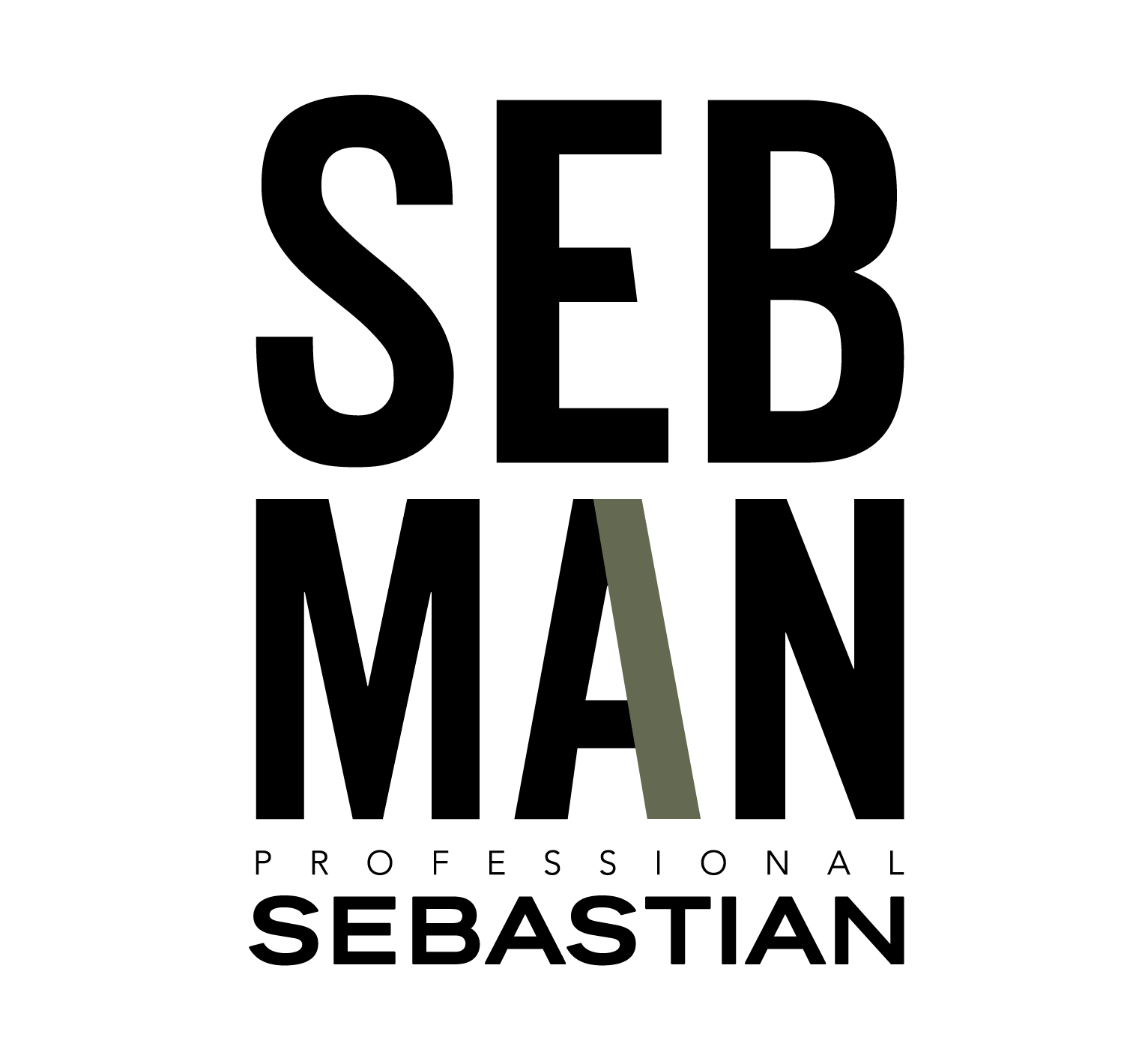 SEBMAN Logo